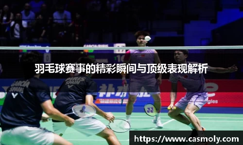 羽毛球赛事的精彩瞬间与顶级表现解析